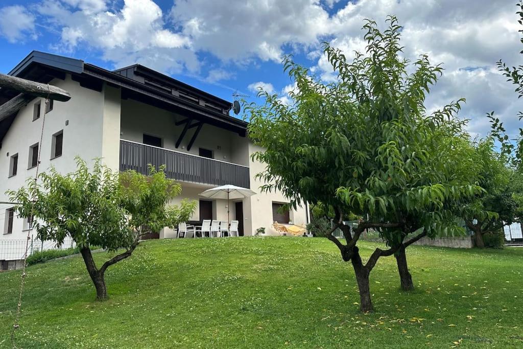 Haus Hafner Sonniges Apartment Terlano Buitenkant foto